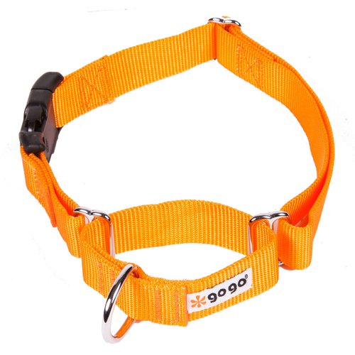 GOGO Pet Products 3/4-Inch Martingale Dog Collar, Medium, Orange