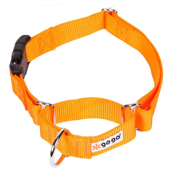 GOGO Pet Products 3/4-Inch Martingale Dog Collar, Medium, Orange