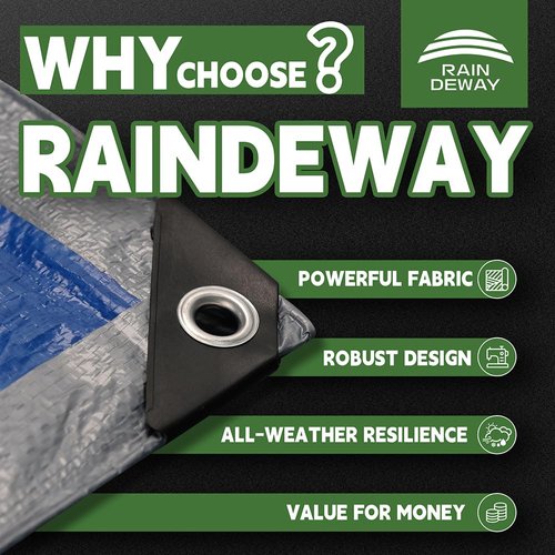 RAINDEWAY Tarps 6x8 Feet - 5.5 Mil, Multipurpose Waterproof Poly Tarp Cover with Metal Grommets and Reinforced Edges, Silver/Blue Tarp