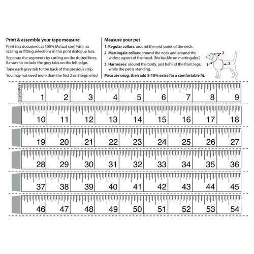 LupinePet Basics 3/4" Pink 14-24" Adjustable Roman Dog Harness for Medium Dogs