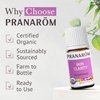 Pranarom - Skin Clarity Essential Oil Blend (5ml) - Lavender, Tea Tree, Thyme, Rosemary, Niaouli, Chamomile, & Helichrysum - 100% Pure Essential Oil for Skincare | USDA and ECOCERT Certified Organic