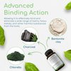 Binder Blend - Toxin Binder Supplement, Detox Capsules for a Healthy Gut - 180 Capsules - 90 Servings - 960mg Activated Charcoal & 480mg Organic Chlorella - Bloating Relief - Bentonite Clay