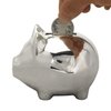 K COOL Vintage Piggy Bank Creative Metal Alloy Cartoon Money Bank Cute Coin Bank Pig Penny Coin Saving Pot Box with Stopper for Boy Kid(Shiny Silver)