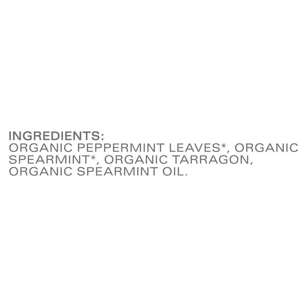 TAZO Regenerative Refresh Mint Herbal Tea Bags, Caffeine-Free, 16 Count (Pack of 6)
