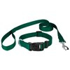 Country Brook Petz - Vibrant 25+ Color Selection - Deluxe Nylon Dog Collar and Leash (Small, 3/4 Inch Wide, Green)
