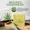 GIBI Aloe Vera Soap Bar - 7.06 Oz Moisturizing Aloe Vera Soap for Face & Body - Cleanses, Hydrates & Soothes Skin - Pure Natural Aloe Vera Bar Soap for All Skin Types