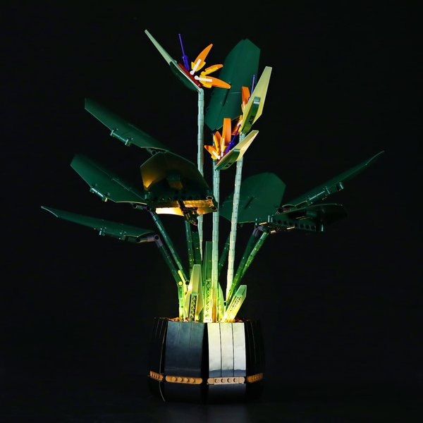 LIGHTAILING Led Light for 10289 Bird of Paradise Building Blocks Model - NOT Included The Model Set