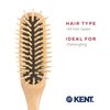 Kent KB Woodyhog Travel Size Detangling Brush Beech-wood Travel Brush, Firm Rounded Wooden Bristles, Natural Cushion Detangler Wooden Hair Brush for Women Men and Kids Everyday Care, Made in England