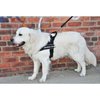 DT Universal No Pull Dog Harness, Hearing Dog, Black, X-Small, Fits Girth Size: 21-Inch to 25-Inch
