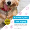 Dog Tag Art Ninja Kitty Personalized Pet ID Tag for Cats, Silent Polymer Coated Stainless Steel Nametag with Customized Identification Information, Small .875 Inch Diameter