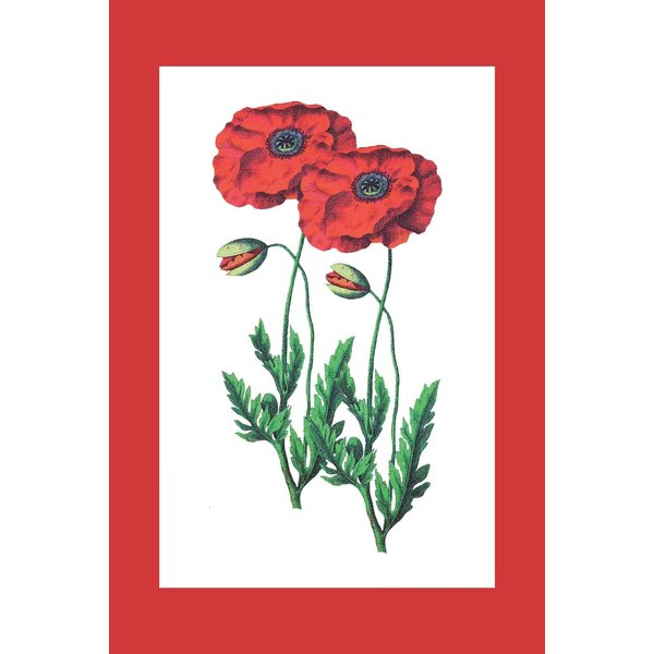 Sketch Journal: Red Watercolor Flowers with Frame (Red) 6x9 - Pages are LINED ON THE BOTTOM THIRD with blank space on top