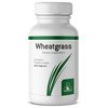Graminex Wheatgrass Tablets - Natural Immunity, Anti-Aging Support, Boosts Energy, Wellness - Amino Acids, Vitamins, Minerals, Antioxidants Greens Superfood Supplement - 240 Non-GMO Tabs