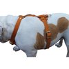 Genuine Leather Dog Harness, 33"-41" Chest, 1" Wide Straps Newfoundland, Great Dane