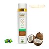 Kerabrasil Coconut Moisture Shampoo 300ml - Deep Hydration with Natural Coconut Oil, Keratin-Enhanced for Strength, Frizz Control, Ideal for Daily Use, Tropical Hair Care