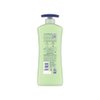 Vaseline Intensive Care Non Greasy Body Lotion with Aloe Soothe for Dry Skin, 600ml