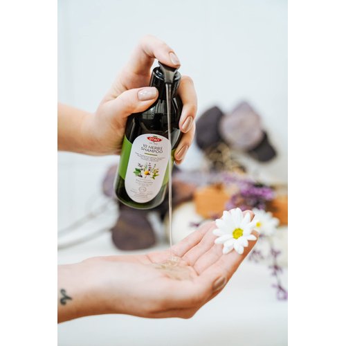 10 Herbs Rejuvenate Shampoo for Bright and Shiny Hair, Sage, Peppermint, Melissa, Rosemary, Myrtle, Storax, Thyme, Juniper, Lavender, Chamomile, No Paraben, No Silicon, Herbal Shampoo for Normal Hair