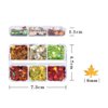 Maple Leaf Nail Art Glitters Fall Nail Sequins 3D Holographic Fall Nail Art Flakes 6 Grids Autumn Nail Glitter Sequins Laser Maple Leaves Nail Flakes for Women DIY Thanksgiving Nails Decoration Makeup