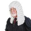 Ebingoo White Judge Wig + Glasses + Wig Cap Judge Colonial Wig Adult Judge Costume Accessories White Lawyer Wig for Men Halloween Party Costume Cosplay