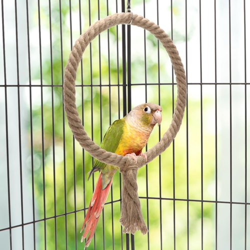 Bird Rope Swing Toy Parrot Climbing Perch Stand for Cockatiel Conure Cockatoo Parakeet Cage Hanging Decor (B: Round)