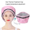 Hair Steamer,Steamer for Hair,Hair Dryer Bonnet Adjustable Deep Conditioning Electric Heat Cap Intelligent Temperature Control US Plug 110‑220v,Hair Steamer for Deep Conditioning