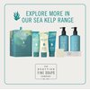 Scottish Fine Soaps Sea Kelp Marine Hand Wash 300ml Pump