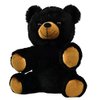 Record Your Own Plush 8 inch Stuffed Black Bear - Ready 2 Love in a Few Easy Steps