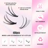 RICHSKY Lash Clusters Natural Individual Lash Extensions，DIY Wispy Faux Mink Lash Tray at Home Multi-type Mix Bottom, Light Volume, 7D Spike, 20D Clusters for Self Application (natural D Curl)