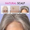 testar 13×6 HD Lace Front Wig Long Gray Wigs for Women 22 Inch Silver Ombre Wig Straight Natural Layered Hair Glueless Wig Synthetic Lace Front Wigs Middle Part Halloween/Party/Daily Use (Hand Tied)