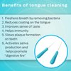 Dr. Tung's Stainless Steel Tongue Cleaner 1 ea (Pack of 2)