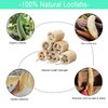 FRTIM Natural Loofah Sponge Shower Organic Luffa Exfoliating Bath Loofa Body Scrubber for Men Women Adults Back Face Skin SPA Care - 6 Pieces