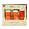 Crabtree and Evelyn Cult Collection Pomegranate & Argan Oil Hand Cream 0.8 Oz & Shower Gel 8.4 Oz