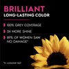 Garnier Hair Color Olia Ammonia-Free Brilliant Color Oil-Rich Permanent Hair Dye, 6.3 Light Golden Brown, 1 Count (Packaging May Vary)