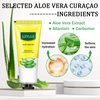 LZYLLS Aloe Vera Gel for Sunburn Relief,Hydrating Travel Size Aloe Vera Gel for Face,Moisturizing Sunburn Relief After Sun Lotion,Fast Absorbing,Non-Sticky Cooling Aloe Vera Gel Face Moisturizer
