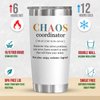Coworker Gifts For Women, Gifts for Boss, Assistant, Teacher Appreciation, Inspiration Work Gifts For Coworkers, Christmas, Valentines Day, Birthday, Thank You Gifts, 20 Oz Stainless Steel Tumbler