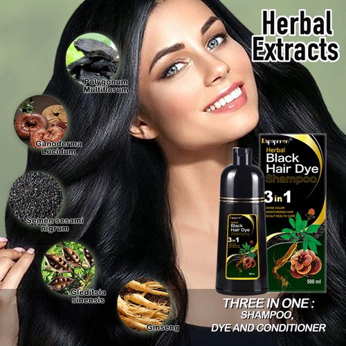 Rccilucki 3 in 1 Hair Dye Shampoo for Women and Men,Natural Black Hair Dye Shampoo (Black)
