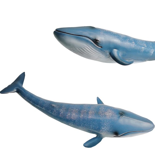 Gemini&Genius Blue Whale Sea Animal Action Figure, Ocean Shark Whale Model Toy, Educational, Role Play, Swim, Beach, Bath and Collectors for Kids