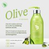 Olive TS Treatment (16.9 Fl Oz / 500mL) | Treatment of Damaged Hair and Dry Scalp and Hair | Olive Oil Hair Treatment - Hydrating and Restorative| Silicone Free | All Hair Types