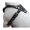 Black Genuine Leather Dog Harness, Medium. 25.5"-29" Chest, 1" Wide Adjustable Straps