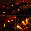 Twinkle Star 2 Pack Orange Halloween String Light, Battery Operated Lights 50 LED 16 FT String Light Waterproof Tree Lights with 8 Lighting Modes,Indoor Outdoor Patio Garden Halloween Decorations