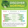 Moringa Immunity Health Tea 28 tea bags (Keto, Detox, Paleo, Vitamin & Minerals Booster, Vegan, Gluten-Free, Non-GMO, Caffeine-Free)