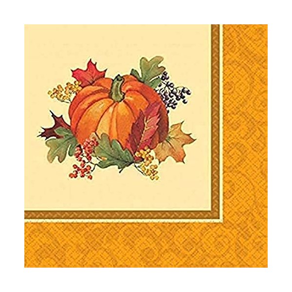Bountiful Thanksgiving Multicolored Dinner Paper Napkins, 16 Ct. | Party Tableware