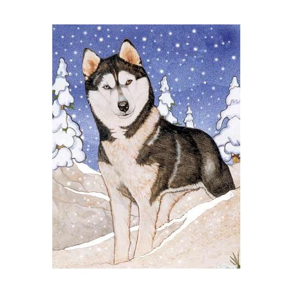 Pipsqueak Siberian Husky Christmas Cards : 10 Holiday Cards with Envelopes - ADORABLE!