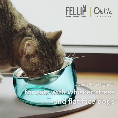 Felli Pet Oblik Anti Whisker Fatigue Cat Food Bowl Stainless Steel Shallow Dish for Cat Dog, Anti Vomiting Angled Slanted Metal Feeder, Elevated Acrylic Base for Storage (0.5Cup, Classic)