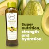 Anyeluz Avocado Moisturizing Shampoo | Enriched with Omega 3, 6, 9, and Biotin | Repairs and Protects Damaged Hair Fibers | Enhances Hair Shine and Guards Against Sun Damage