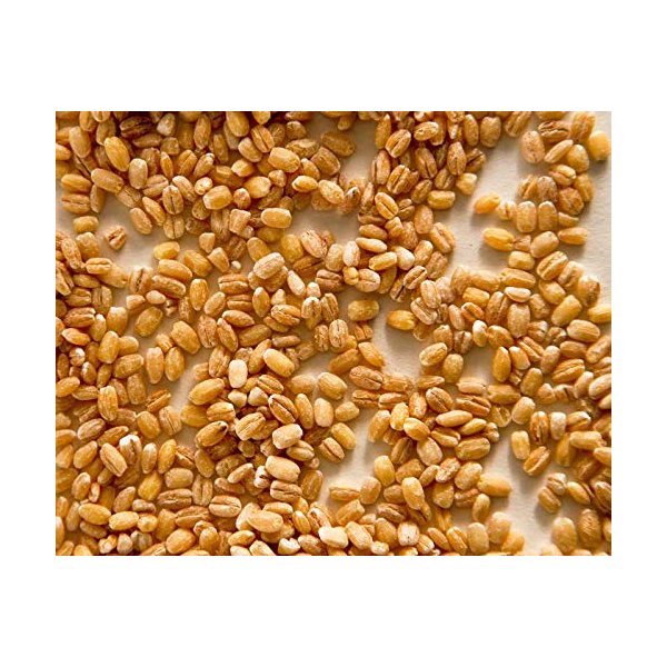 Zursun Heirloom Beans, Pearl Barley 1.5lb Bag