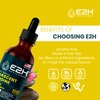 E2H Vegan Liquid Iodine - Thyroid Support and Cognitive Function - Boost Your Metabolism and Energy Levels - Vegan - Non-GMO (3 Bottles)