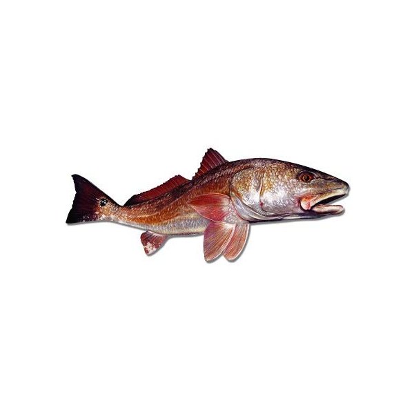 GT Graphics Redfish - 12" Vinyl Sticker Waterproof Decal