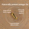 New Chapter Vegan Prenatal DHA, EPA, and DPA Supplement- Prenatal Vegan Omega-3 Complex- 30 Vegan Softgels