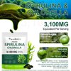 NIFEISHI Organic Spirulina Capsules, 3100MG Per Serving, Spirulina Chlorella Powder Supplement, Green Algae Supplement Rich in Chlorophyll, Vegan & High Protein Non GMO, Superfood 300 Capsules