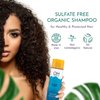 Ayurvedic Organic Shampoo | Sulfate Free w/Soapnut, Shikakai, Fenugreak, Neem. Prevent Hair Loss, Color Safe Natural Vegan Hair Cleanser for Men, Women.